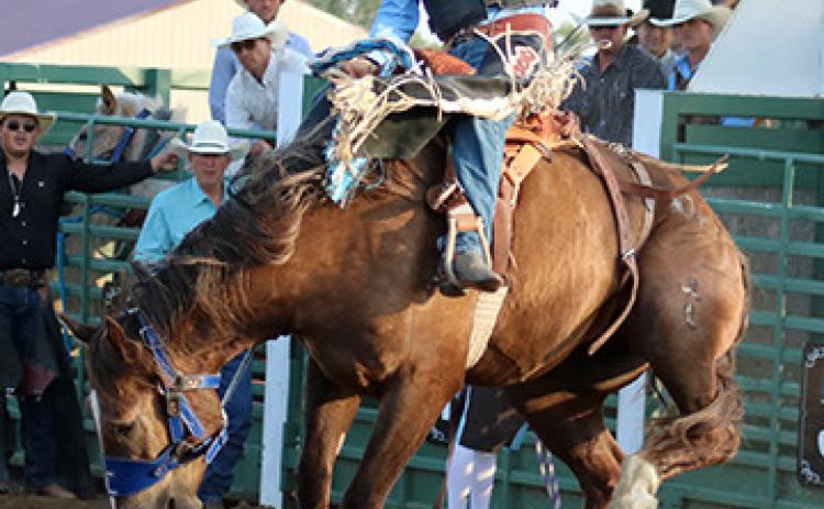 Lanny Brooks of Faith scored 74 on this ride to finish tied with Kaden Deal for top honors in saddle bronc riding at the Isabel Rodeo. Photo by Jon Flatland